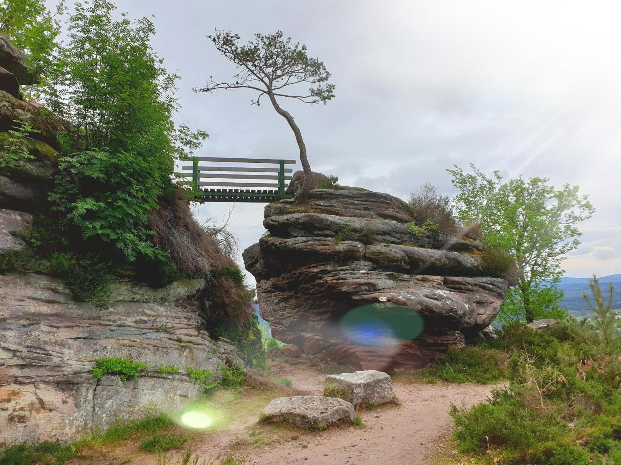 Nature & Bien-Etre Ch Bleue Nuit Etoilee Étival-Clairefontaine 外观 照片